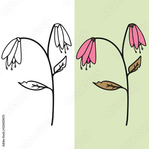 Hand drawn withered flower vector illustration