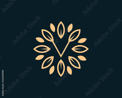 Letter V Leaf Circle Logo Concept sign icon symbol Design. Floral  Herbal  Natural  Eco Logotype. Vector illustration template