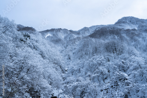 凍りつく山々 © Kunikazu Watanabe
