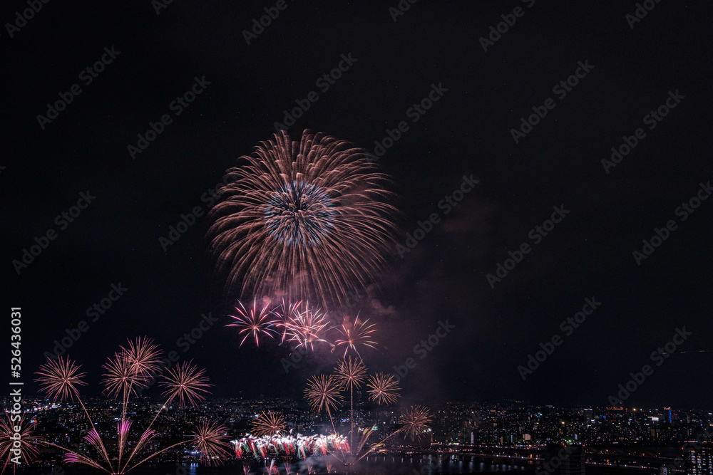 夜空を焦がす花火