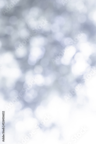 White blurred abstract background. grey abstract background. soft backdrop of nature abstract background. used for wallpaper or background