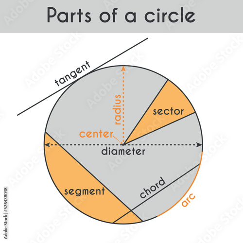 Circle lines, parts. With lines on the same circle; tangent, chord, arc, diameter, radius, sector, segment. Mathematics, trigonometry, geometry. Vector illustration isolated on white background. photo