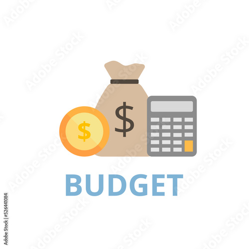 Budget vector. Accounting, Finance and business concept.