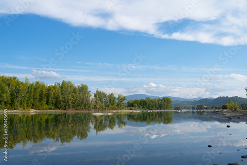 mountain nature. river creek. reflection of trees and sky in the water