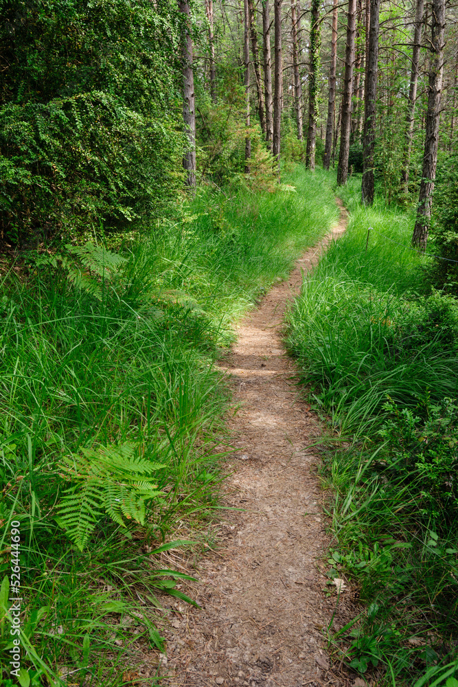 sendero de la naturaleza, Nebias, languedoc-Roussillon, departamento de Aude,pirineos orientales,Francia, europa sendero de la naturaleza, Nebias, languedoc-Roussillon, departamento de Aude,pirineos orientales,Francia, europa