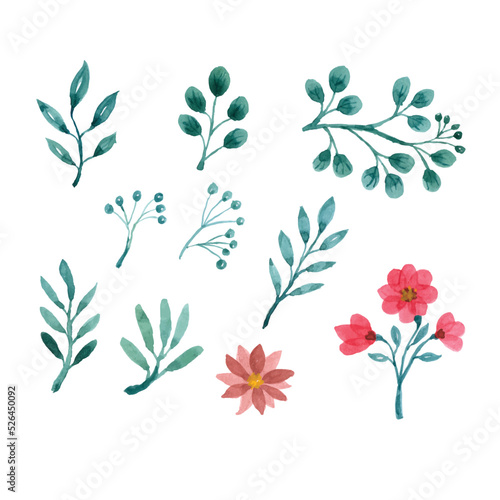 Watercolor green leaves and flower illustration set