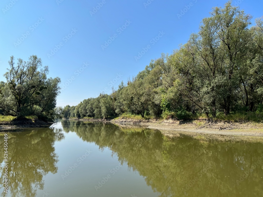 Lake Veliki Sakadas and floodplain forests, Kopacki rit Nature Park - Kopacevo, Croatia (Jezero Veliki Sakadaš i poplavne šume, Park prirode Kopački rit - Kopačevo, Hrvatska) Lake Veliki Sakadas and floodplain forests, Kopacki rit Nature Park - Kopacevo, Croatia (Jezero Veliki Sakadaš i poplavne šume, Park prirode Kopački rit - Kopačevo, Hrvatska)