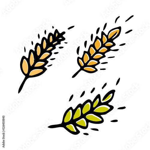 Wheat plant spikelets isolated on white background. Wheat Ear Spica Icon Set.