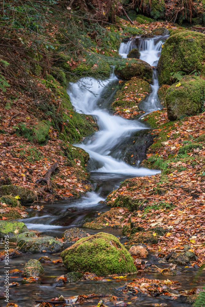 Stunning waterfall landscape image in vibrant Autumn woodland in Lake District Stunning waterfall landscape image in vibrant Autumn woodland in Lake District