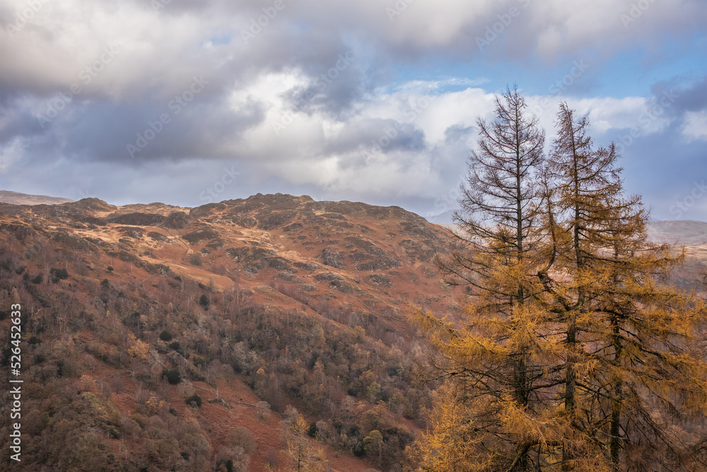 Beautiful vibrant Autumn landscape image towards Borrowdale Valley from Castle Crag in Lake Disrtrict