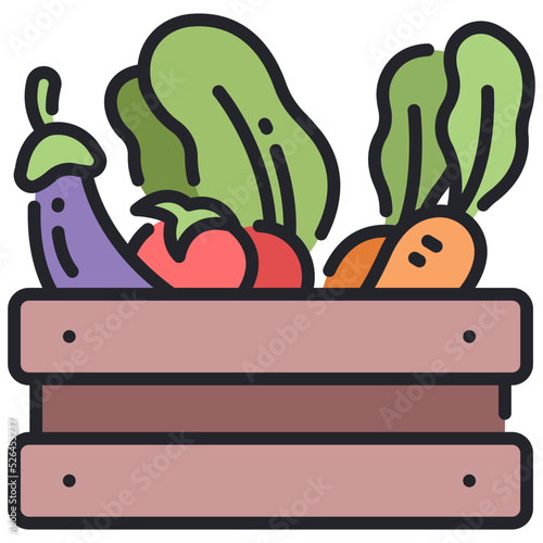 vegetables icon photo