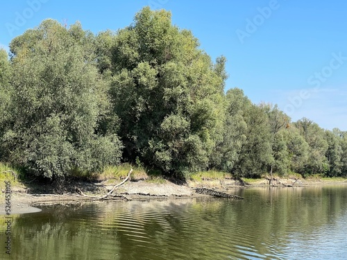 Lake Veliki Sakadas and floodplain forests, Kopacki rit Nature Park - Kopacevo, Croatia (Jezero Veliki Sakadaš i poplavne šume, Park prirode Kopački rit - Kopačevo, Hrvatska) photo