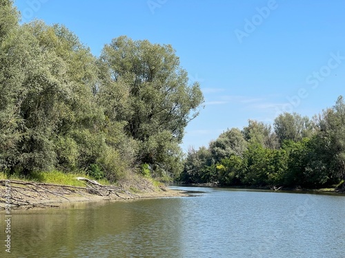 Lake Veliki Sakadas and floodplain forests, Kopacki rit Nature Park - Kopacevo, Croatia (Jezero Veliki Sakadaš i poplavne šume, Park prirode Kopački rit - Kopačevo, Hrvatska) photo