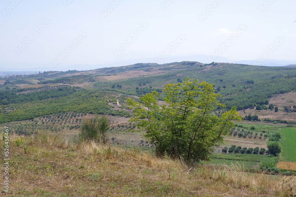 Vue sur la campagne depuis le site archéologique d'Apollonia d'Illyrie