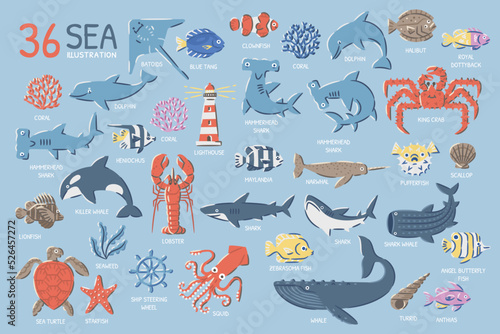 Sea illustration