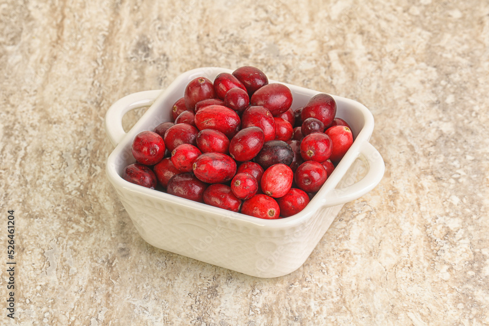 Ripe sweet tasty cranberry in the bowl