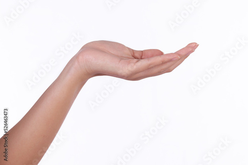 female hand isolated on a white background