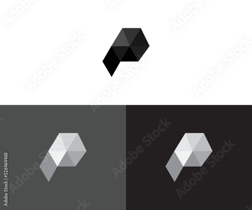 p logo design
