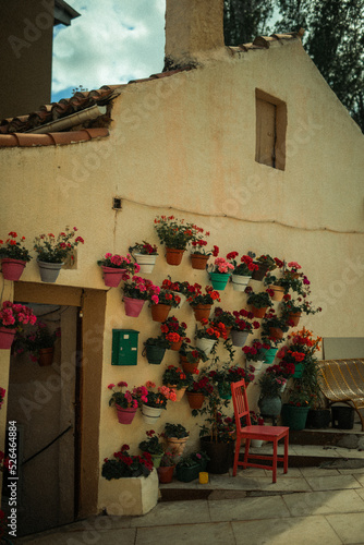 casa de flores
