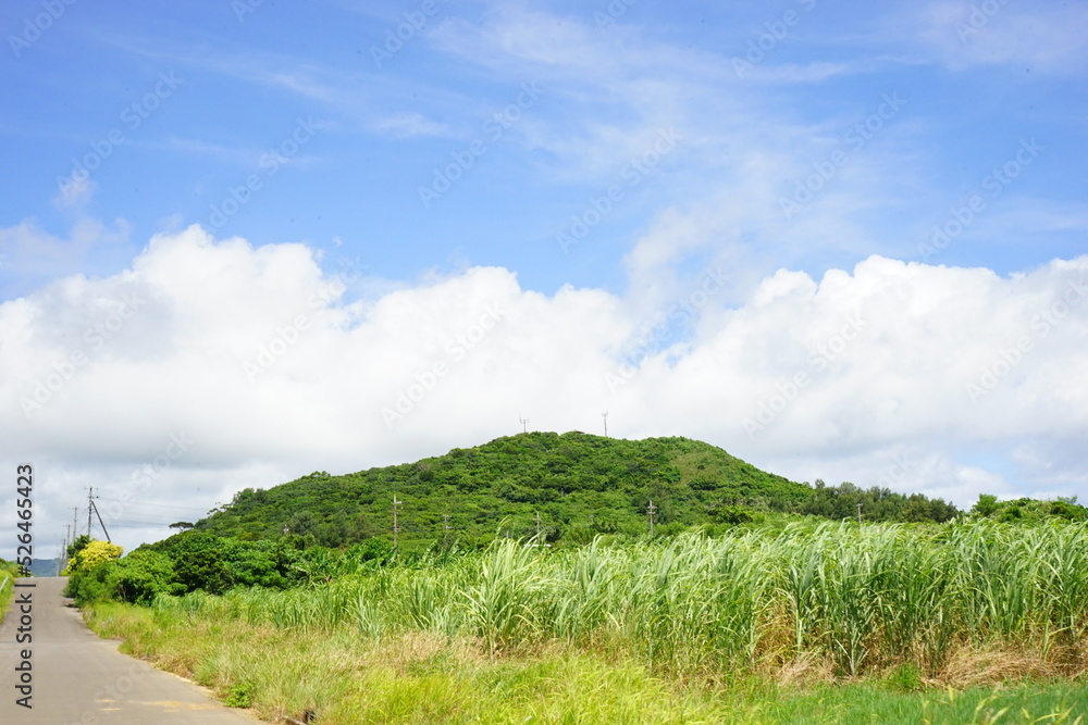 Ufudaki and Sugar Cane Field in Kohama-jima Island, Okinawa, Japan - 日本 沖縄 小浜島 さとうきび畑 大岳