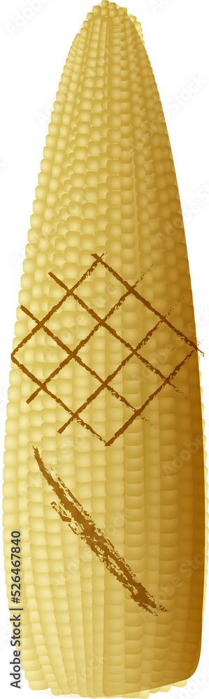 Naklejka premium Vegetable, baby corn with transparent background