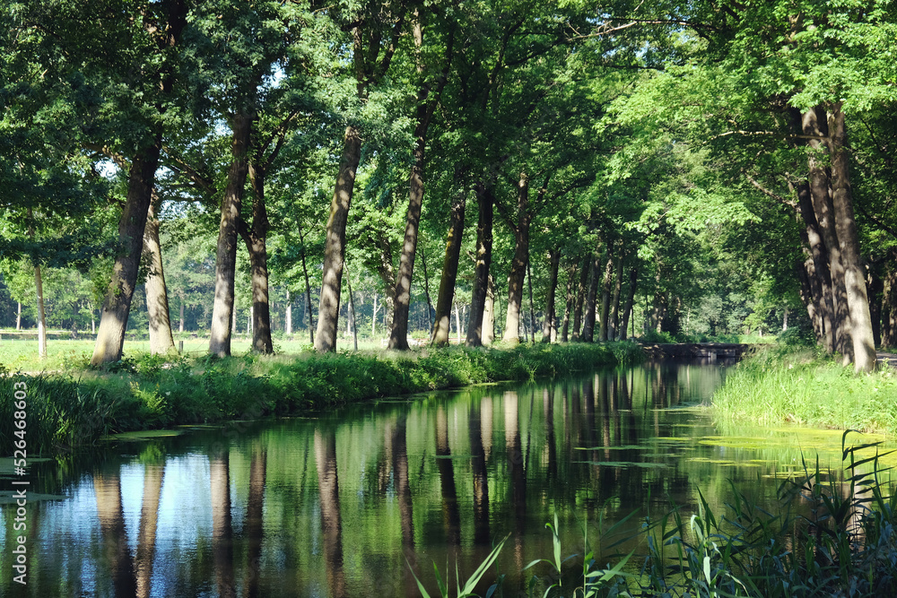 Trees line a typical Dutch canal scene in Griendtsveen, the Netherlands.