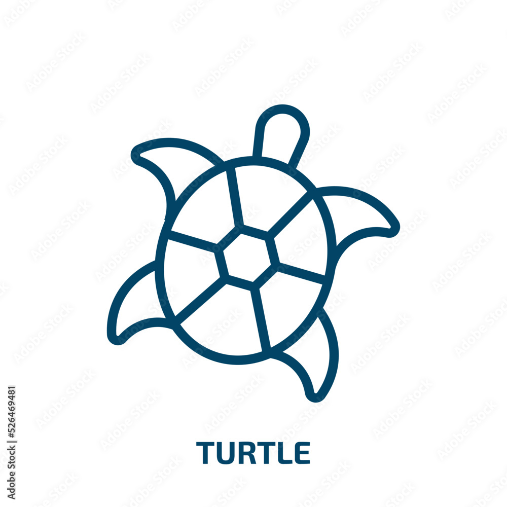turtle icon from animals collection. Thin linear turtle, fish, pet outline icon isolated on white background. Line vector turtle sign, symbol for web and mobile turtle icon from animals collection. Thin linear turtle, fish, pet outline icon isolated on white background. Line vector turtle sign, symbol for web and mobile