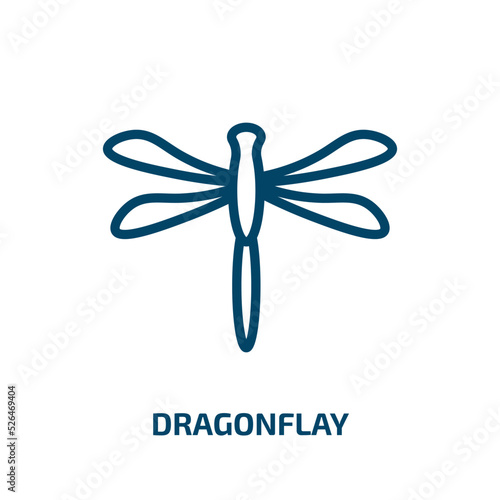 dragonflay icon from animals collection. Thin linear dragonflay, animals, mink outline icon isolated on white background. Line vector dragonflay sign, symbol for web and mobile photo