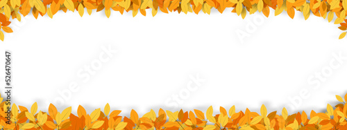 Autumn background with leaves frame on white background,Wide banner design for Fall Sale, Discount or Promotion. Vector Illustration Autumnal with Special Offer backdrop photo