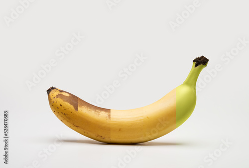Ripening stages of a banana on a white background with a soft shadow