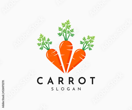 Carrot logo design. Carrot icon vector design
