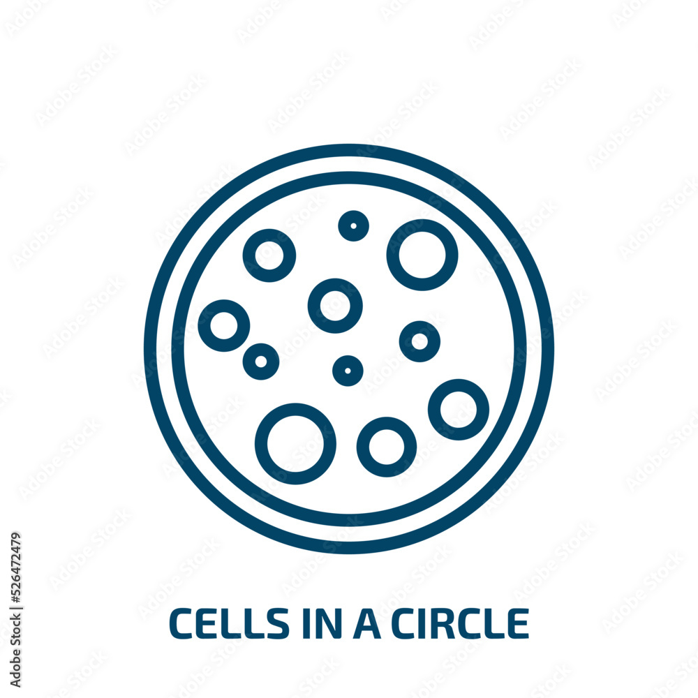 cells in a circle icon from medical collection. Thin linear cells in a circle, circle, cell outline icon isolated on white background. Line vector cells in a circle sign, symbol for web and mobile