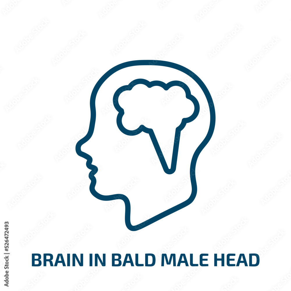 brain in bald male head icon from medical collection. Thin linear brain in bald male head, head, bald outline icon isolated on white background. Line vector brain in bald male head sign, symbol for brain in bald male head icon from medical collection. Thin linear brain in bald male head, head, bald outline icon isolated on white background. Line vector brain in bald male head sign, symbol for