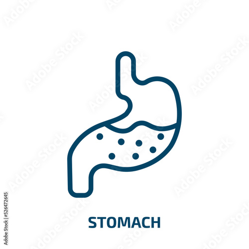 stomach icon from medical collection. Thin linear stomach, body, human outline icon isolated on white background. Line vector stomach sign, symbol for web and mobile