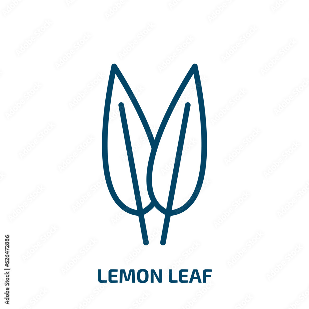lemon leaf icon from nature collection. Thin linear lemon leaf, lemon, leaf outline icon isolated on white background. Line vector lemon leaf sign, symbol for web and mobile lemon leaf icon from nature collection. Thin linear lemon leaf, lemon, leaf outline icon isolated on white background. Line vector lemon leaf sign, symbol for web and mobile