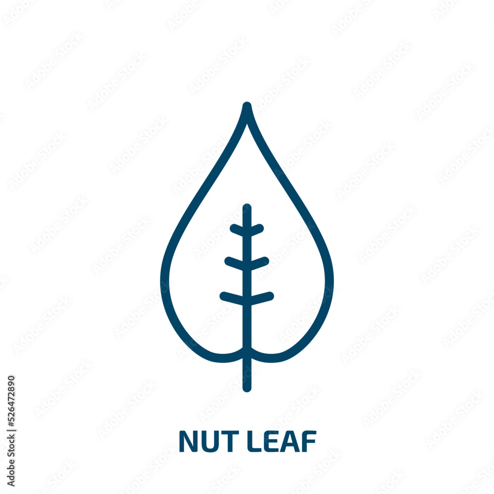 nut leaf icon from nature collection. Thin linear nut leaf, leaf, food outline icon isolated on white background. Line vector nut leaf sign, symbol for web and mobile nut leaf icon from nature collection. Thin linear nut leaf, leaf, food outline icon isolated on white background. Line vector nut leaf sign, symbol for web and mobile