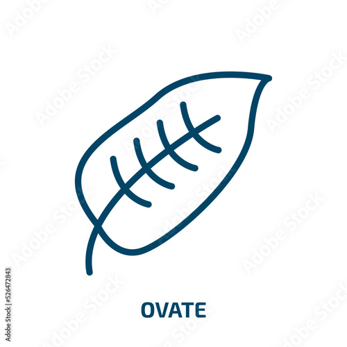 ovate icon from nature collection. Thin linear ovate, happy, applause outline icon isolated on white background. Line vector ovate sign, symbol for web and mobile
