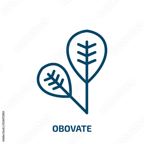 obovate icon from nature collection. Thin linear obovate, nature, fertilize clinic outline icon isolated on white background. Line vector obovate sign, symbol for web and mobile