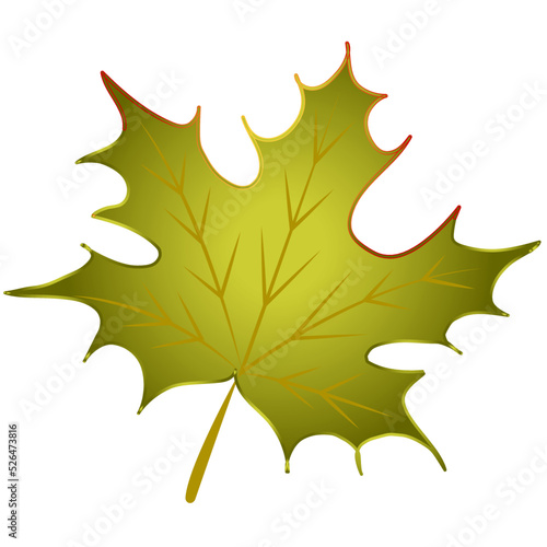 Isolated autumn leaf. On a white background. Vector decorative illustration.