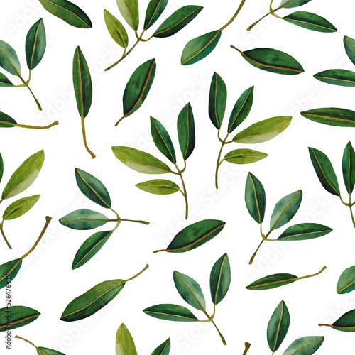 Delicate watercolor seamless pattern with olive tree branches white background.