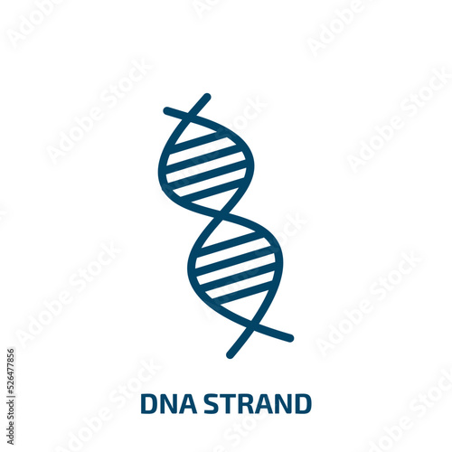 dna strand icon from education collection. Thin linear dna strand, dna, biology outline icon isolated on white background. Line vector dna strand sign, symbol for web and mobile