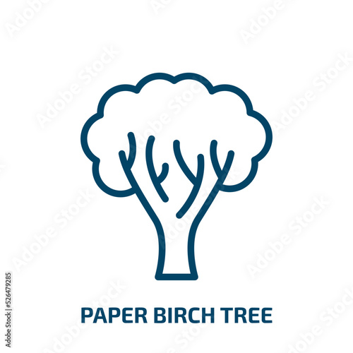 Tela paper birch tree icon from nature collection
