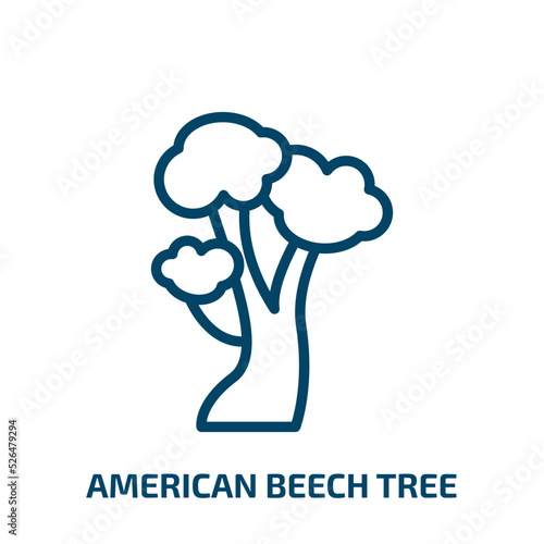 american beech tree icon from nature collection. Thin linear american beech tree, american, tree outline icon isolated on white background. Line vector american beech tree sign, symbol for web and