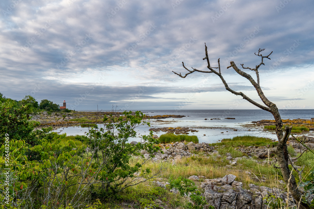 view on northern coastline of island Bornholm, denmark