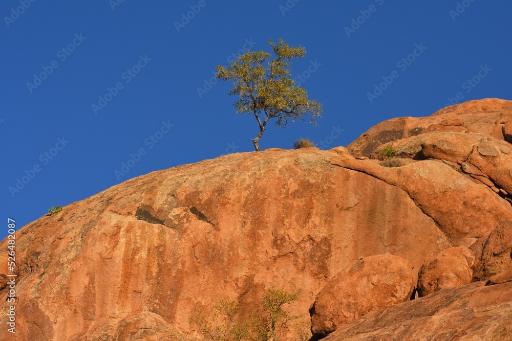 Baum auf den Steinkugeln des Erongo Gebirges in Namibia. Baum auf den Steinkugeln des Erongo Gebirges in Namibia.