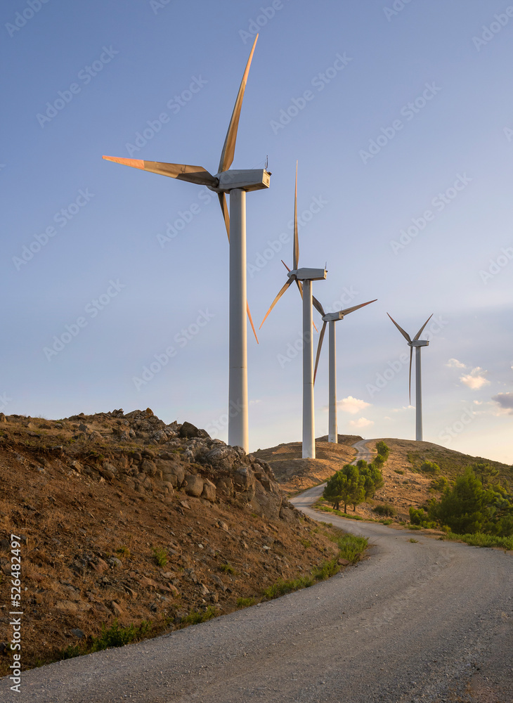 Renewable energy with wind turbines. Image of a forest road passing through a wind farm in Carratraca, Malaga. Photo taken at sunset.