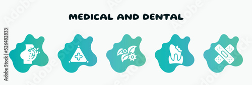 medical and dental filled icons set. flat icons such as warning triangular, flower therapy, decay, band aid forming a cross mark, fetus icon collection. can be used web and mobile.