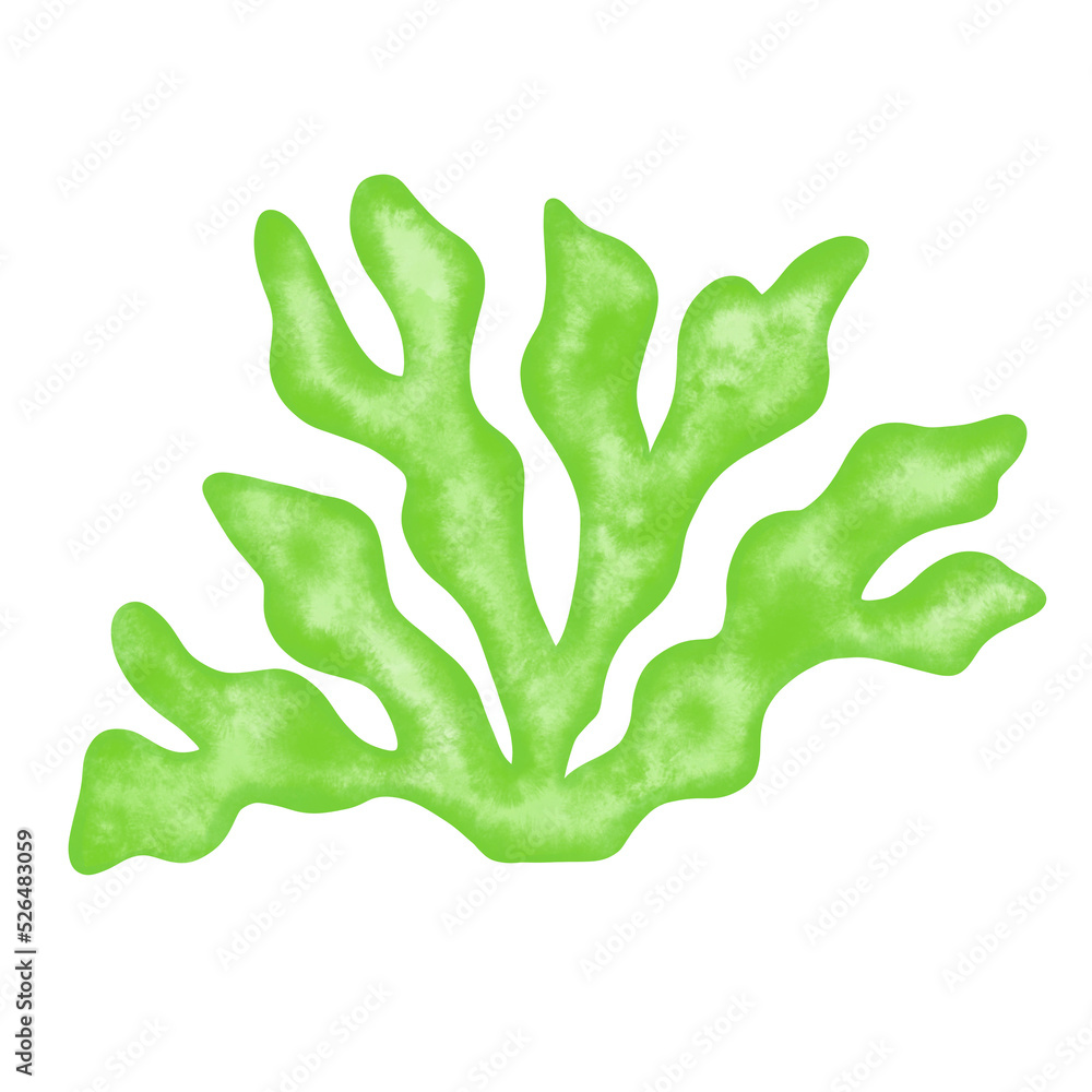green seaweed leaf watercolor illustration green seaweed leaf watercolor illustration