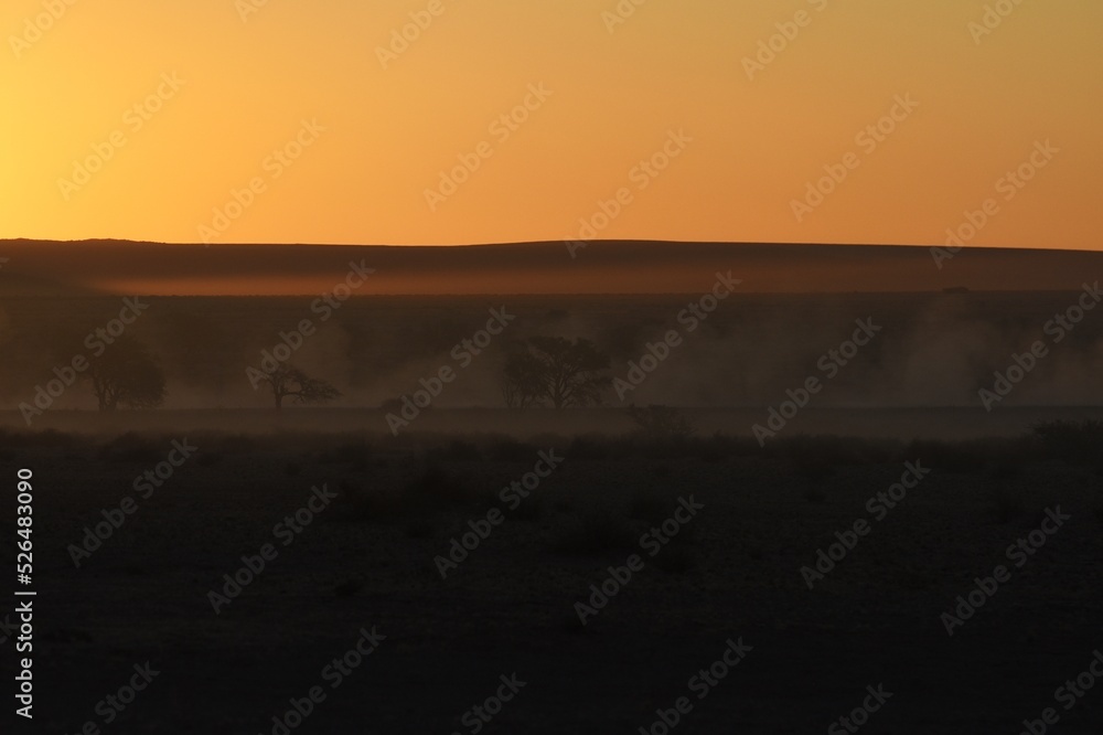 Elimdüne im Schein der untergehenden Sonne im Namib-Naukluft-Park in Namibia. 