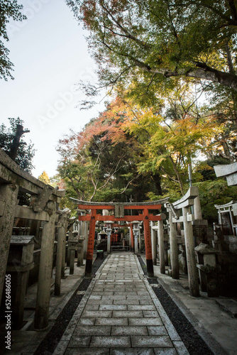 Wallpaper Mural 京都 五社大明神の新緑と鳥居に囲まれた道 Torontodigital.ca
